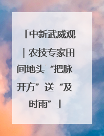 中新武威观｜农技专家田间地头“把脉开方”送“及时雨”