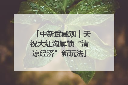 中新武威观｜天祝大红沟解锁“清凉经济”新玩法
