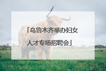 乌鲁木齐举办妇女人才专场招聘会
