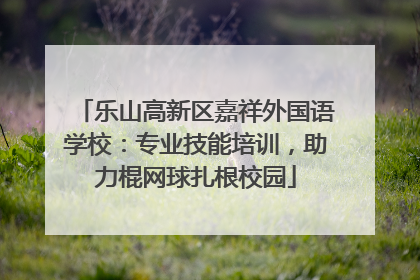 乐山高新区嘉祥外国语学校：专业技能培训，助力棍网球扎根校园