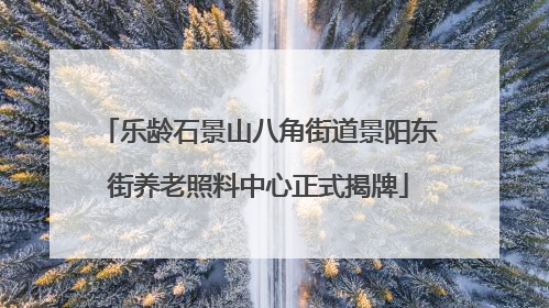 乐龄石景山八角街道景阳东街养老照料中心正式揭牌