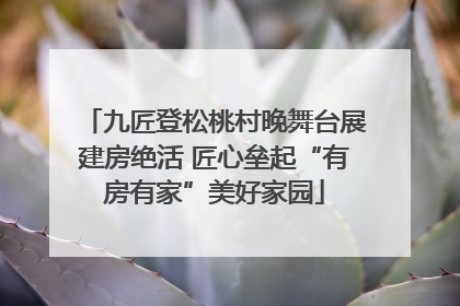 九匠登松桃村晚舞台展建房绝活 匠心垒起“有房有家”美好家园
