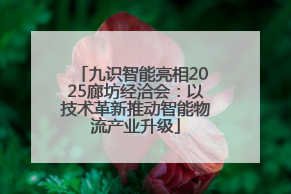 九识智能亮相2025廊坊经洽会：以技术革新推动智能物流产业升级