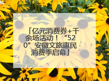 亿元消费券+千余场活动！“520”安徽文旅惠民消费季启幕
