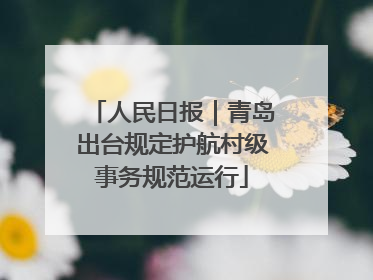 人民日报｜青岛出台规定护航村级事务规范运行