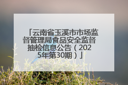 云南省玉溪市市场监督管理局食品安全监督抽检信息公告（2025年第30期）