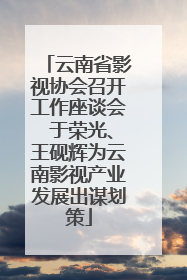 云南省影视协会召开工作座谈会 于荣光、王砚辉为云南影视产业发展出谋划策