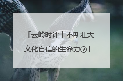 云岭时评丨不断壮大文化自信的生命力②