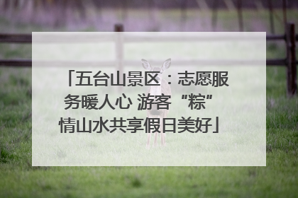 五台山景区：志愿服务暖人心 游客“粽”情山水共享假日美好