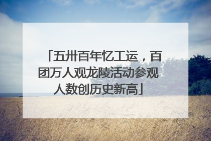 五卅百年忆工运，百团万人观龙陵活动参观人数创历史新高
