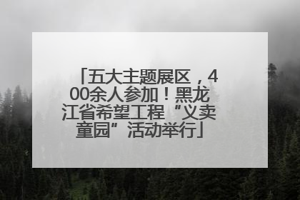 五大主题展区，400余人参加！黑龙江省希望工程“义卖童园”活动举行