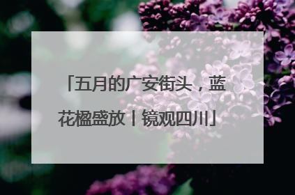 五月的广安街头，蓝花楹盛放丨镜观四川