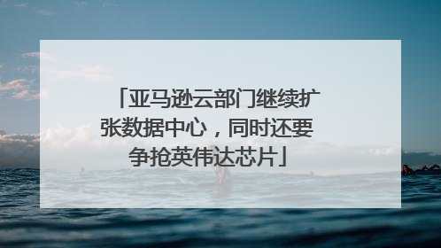 亚马逊云部门继续扩张数据中心，同时还要争抢英伟达芯片