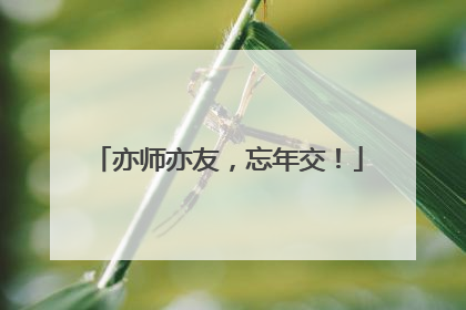 亦师亦友，忘年交！