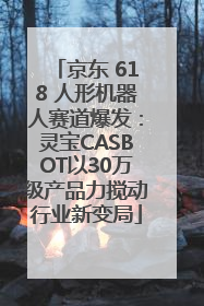 京东 618 人形机器人赛道爆发：灵宝CASBOT以30万级产品力搅动行业新变局