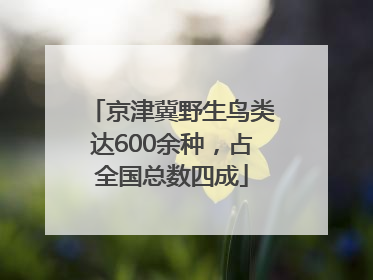 京津冀野生鸟类达600余种，占全国总数四成
