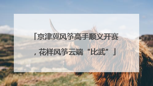 京津冀风筝高手顺义开赛，花样风筝云端“比武”