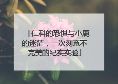 仁科的恐惧与小鹿的迷茫，一次刻意不完美的纪实实验
