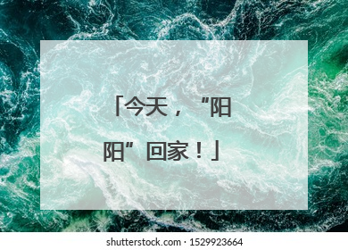 今天，“阳阳”回家！