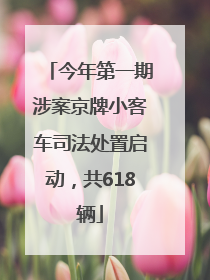 今年第一期涉案京牌小客车司法处置启动，共618辆
