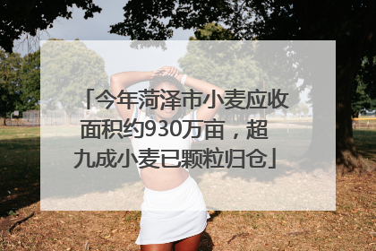 今年菏泽市小麦应收面积约930万亩，超九成小麦已颗粒归仓