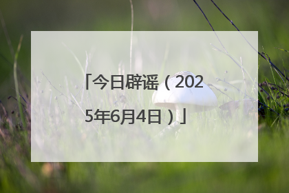 今日辟谣（2025年6月4日）