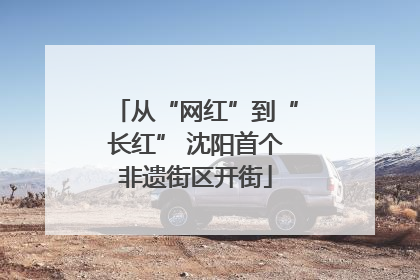 从“网红”到“长红” 沈阳首个非遗街区开街