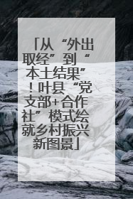 从“外出取经”到“本土结果”！叶县“党支部+合作社”模式绘就乡村振兴新图景