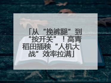从“挽裤腿”到“按开关”！高青稻田插秧“人机大战”效率拉满