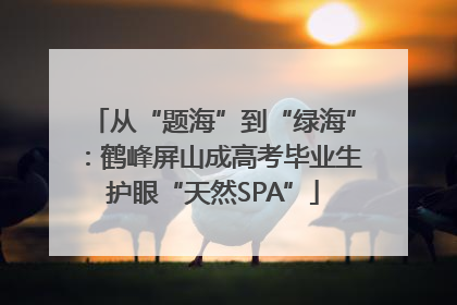 从“题海”到“绿海”：鹤峰屏山成高考毕业生护眼“天然SPA”