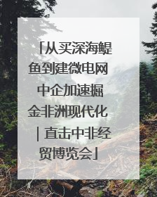 从买深海鳀鱼到建微电网 中企加速掘金非洲现代化｜直击中非经贸博览会