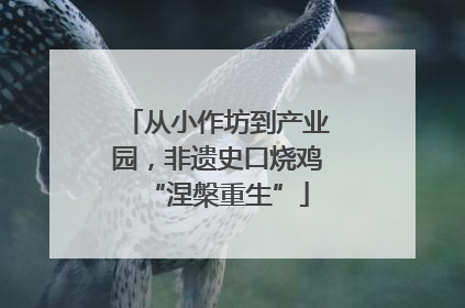 从小作坊到产业园，非遗史口烧鸡“涅槃重生”