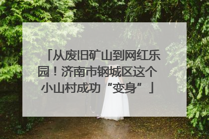 从废旧矿山到网红乐园！济南市钢城区这个小山村成功“变身”