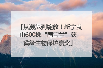 从濒危到绽放！新宁崀山600株“国宝兰”获省级生物保护嘉奖