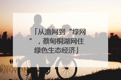从渔网到“绿网”，蔡甸桐湖网住绿色生态经济