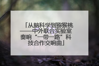 从脑科学到猕猴桃——中外联合实验室奏响“一带一路”科技合作交响曲
