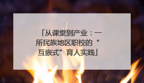 从课堂到产业：一所民族地区职校的“互嵌式”育人实践