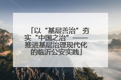 以“基层善治”夯实“中国之治”——推进基层治理现代化的临沂公安实践