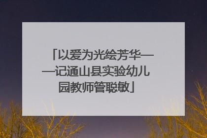 以爱为光绘芳华——记通山县实验幼儿园教师管聪敏