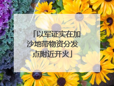 以军证实在加沙地带物资分发点附近开火