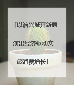 以演兴城开新局 演出经济驱动文旅消费增长