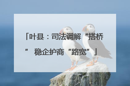 叶县：司法调解“搭桥” 稳企护商“路宽”