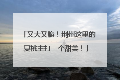 又大又脆！荆州这里的夏桃主打一个甜美！