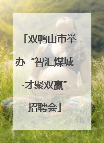 双鸭山市举办“智汇煤城·才聚双赢”招聘会