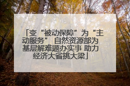 变“被动保障”为“主动服务” 自然资源部为基层解难题办实事 助力经济大省挑大梁