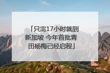 只需17小时就到新加坡 今年首批青田杨梅已经启程