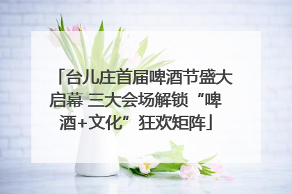 台儿庄首届啤酒节盛大启幕 三大会场解锁“啤酒+文化”狂欢矩阵