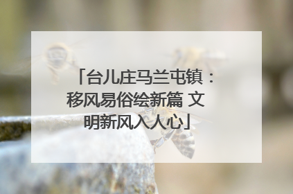 台儿庄马兰屯镇：移风易俗绘新篇 文明新风入人心