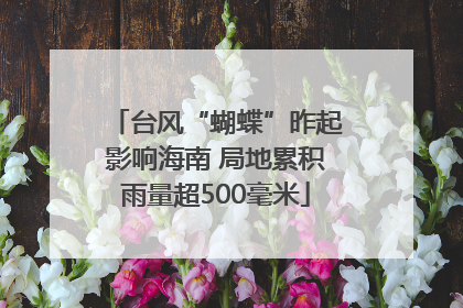 台风“蝴蝶”昨起影响海南 局地累积雨量超500毫米