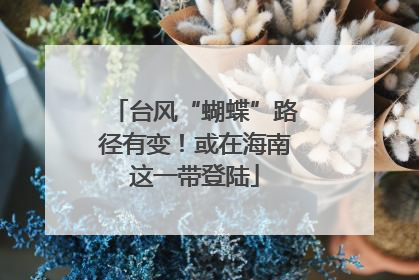 台风“蝴蝶”路径有变！或在海南这一带登陆